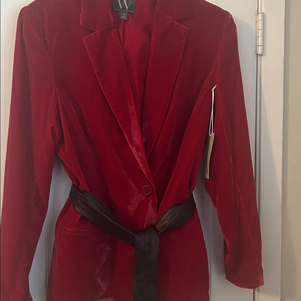 Velour blazer - Picture 4 of 5